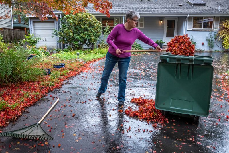 Leaf Cleanup at Dusk