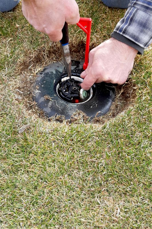 Sprinkler Head Removal