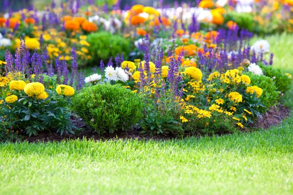 Flower Bed Maintenance in Claremore