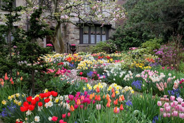 Garden Maintenance Service in Claremore