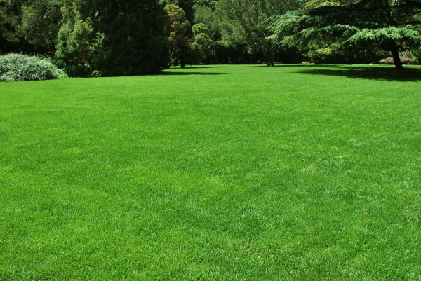 Lawn Landscaping in Claremore
