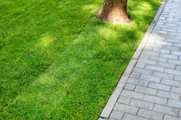 Border Stone Installation in Claremore