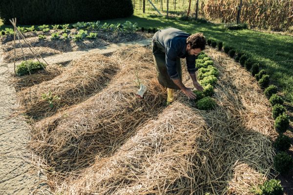 Straw Mulching Service in Claremore