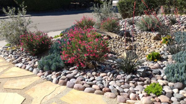 Xeriscape Landscaping in Claremore