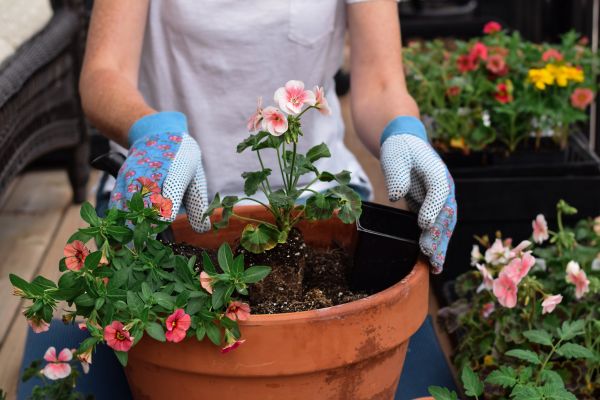 Plant Care Service in Claremore