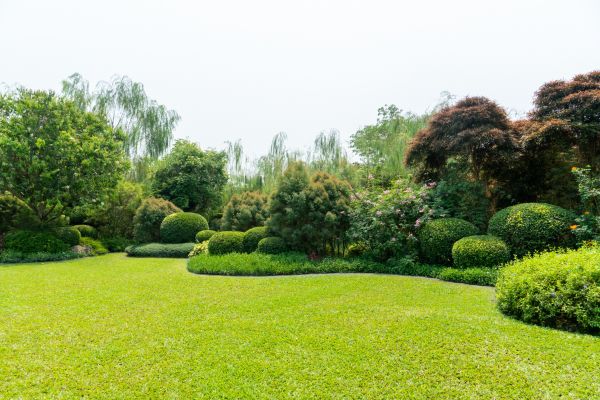 Tree Landscaping in Claremore