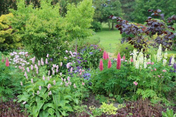 Flower Bed Planting in Claremore