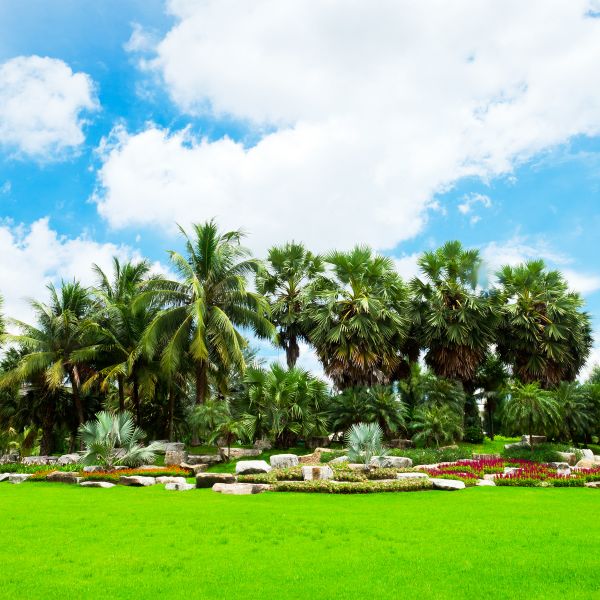 Tropical Landscaping in Claremore