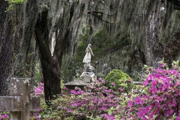Cemetery Landscaping in Claremore