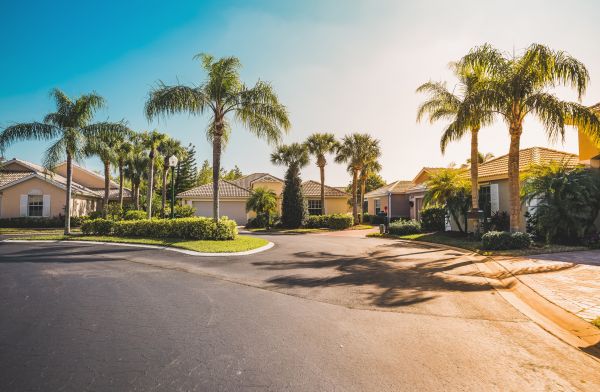 Palm Tree Landscaping in Claremore