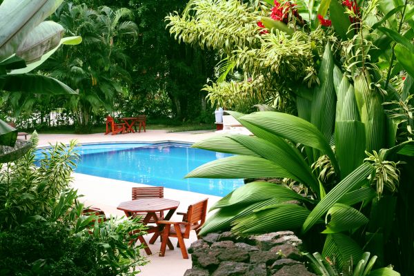 Tropical Garden Landscaping in Claremore