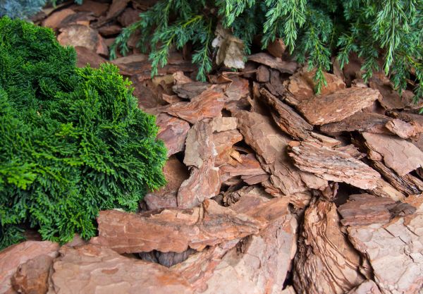 Pine Bark Installation in Claremore