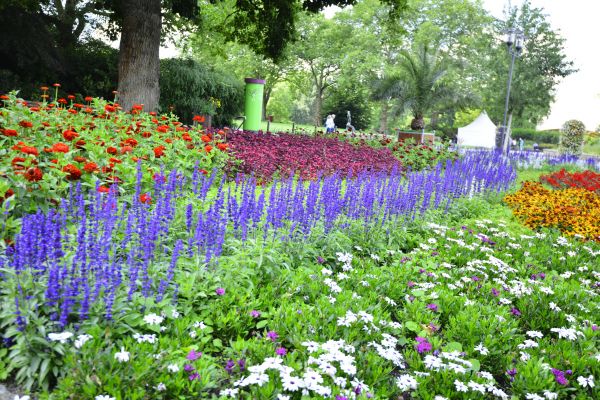 Perennials Planting in Claremore