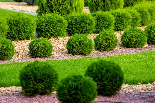 Bush Installation in Claremore