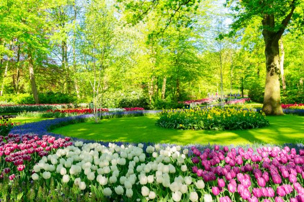 Flower Landscaping in Claremore