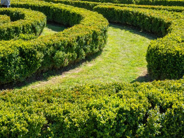 Bush Landscaping in Claremore