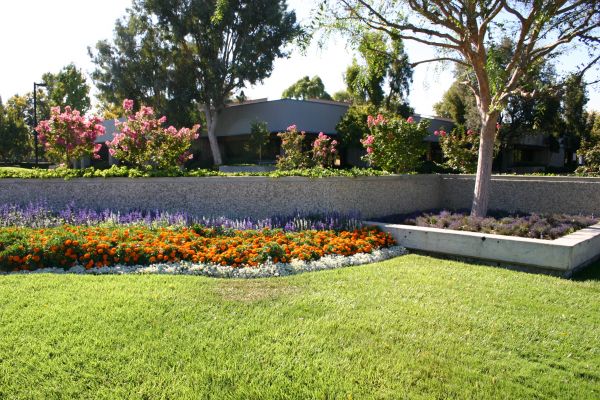 Commercial Landscape Service in Claremore