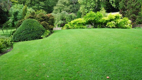 Commercial Landscape Design in Claremore