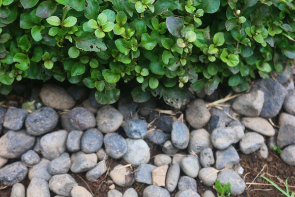 River Stone Installation in Claremore