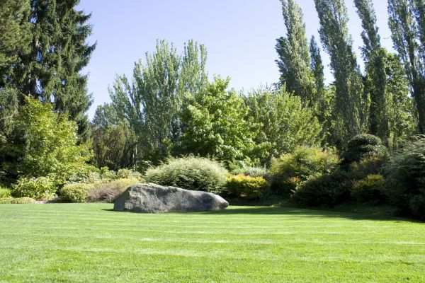 Yard Enlargement in Claremore
