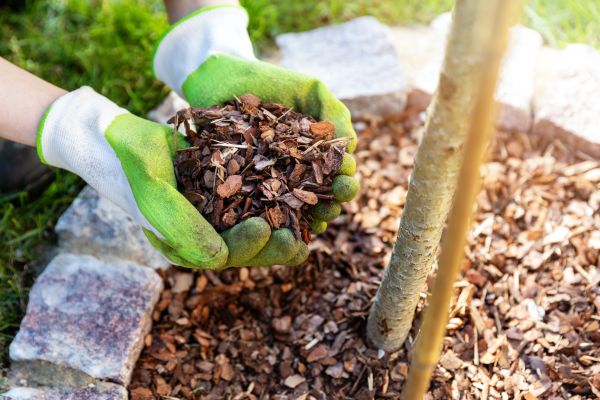 Tree Bark Delivery in Claremore