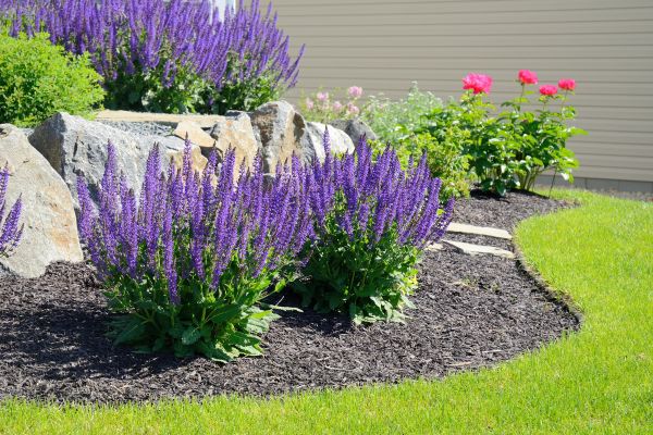 Landscape Planting Service in Claremore