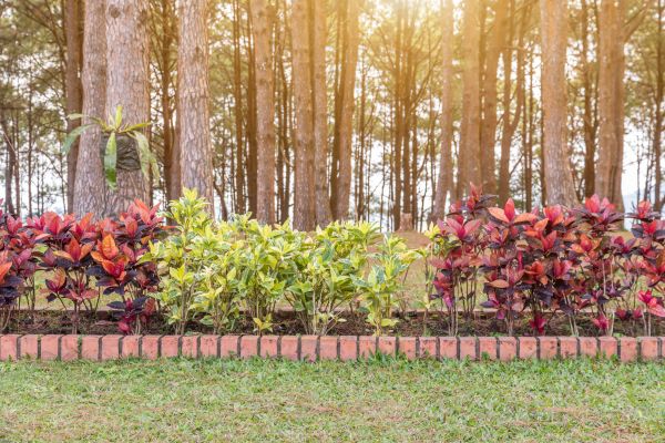 Small Garden Landscaping in Claremore